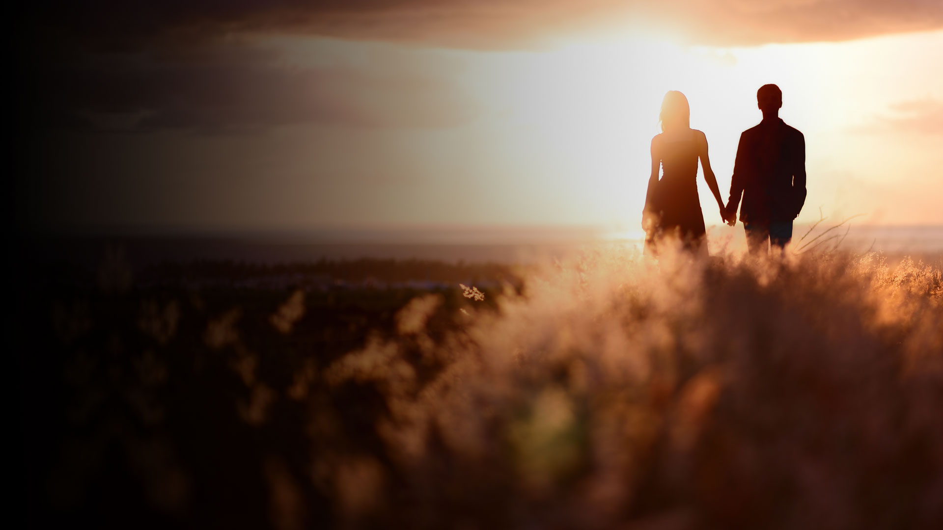 Our Values Relationship Counselling Australia ValueDriven